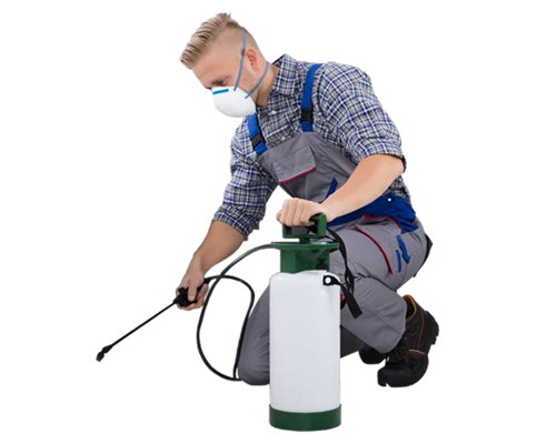 Descupinizadora